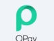 Senior Product Manager (SaaS) at OPay (Opera )