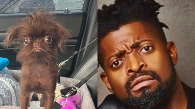 E Resemble You Abi E No Resemble You?” – Reactions As Basketmouth Blows Hot After Being Compared With A Dog