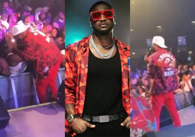 Paul Okoye locks lips with female fan at PSquare concert